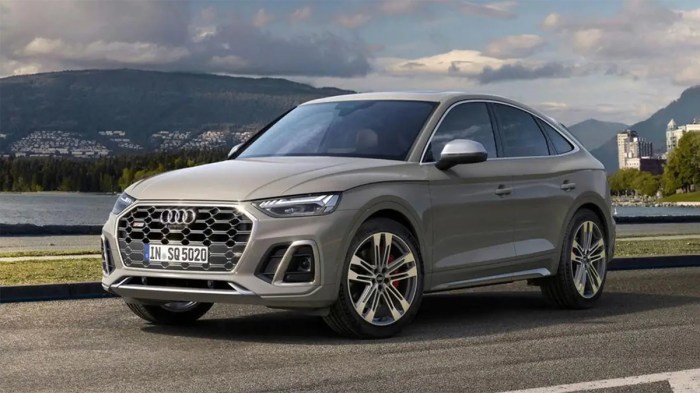 Audi q 5